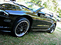 DSCN0154.JPG
