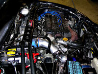DSCN0293.JPG