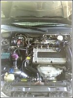 talonmotorgreddy22.jpg