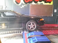 img00020.jpg