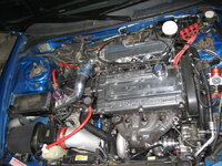 IMG_1194resized.jpg