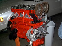 dons_shots_007.jpg