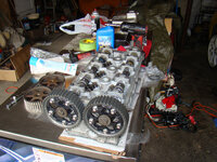 dsc00533.jpg