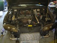 enginebay.jpg