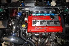 DSC00567.JPG