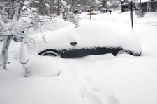 47381snow_pic.jpg
