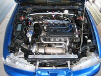 img_0500sm.jpg