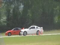 mustangpic.jpg