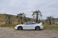 dsc_0318-1.jpg