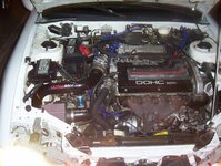 car001.jpg