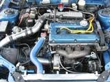 img_0431_352085.jpg
