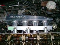 DSC01464-1.jpg