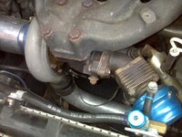 img00041.jpg