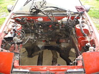 dsc00480.jpg