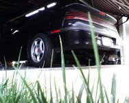 IMG00617_356989.JPG