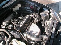 IMG_0346.jpg