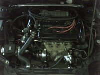 Picture45.jpg