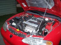 100_1229.jpg