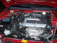100_1231.jpg