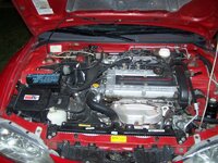 100_1232.jpg