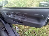 doorpanel2.jpg