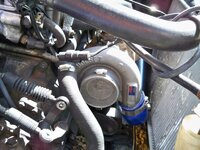 picture199.jpg