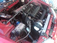 img00204-20111027-1308.jpg