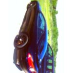 roberts_black_talon.jpg