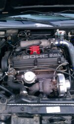 imag0035.jpg