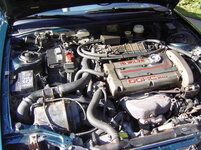 7952670518_248594041_im1_11_565x421_a_562x421.jpg