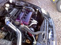 downsized_0302001737a.jpg