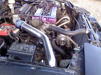 downsized_1121001304a.jpg