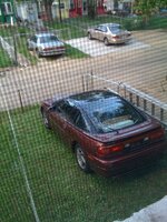 img_0135.jpg