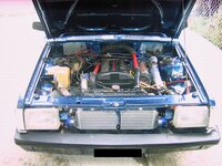 picture_267.jpg