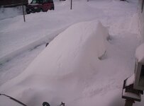 car_is_buried_001.jpg