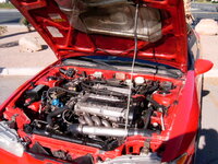 picture_704.jpg