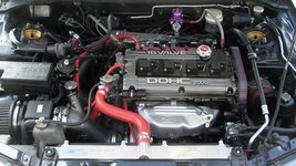 24816_1110979991953_3522821_n.jpg