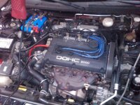 img00007-20100109-1431.jpg
