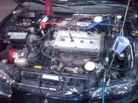 img00005-20100109-1305.jpg