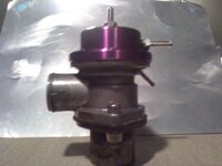 164306_173850335990017_100000951551128_344297_7719700_n.jpg