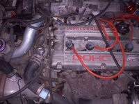 20110212184312.jpg