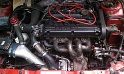 imag0239.jpg