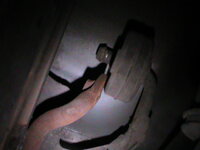 dsc00032.jpg