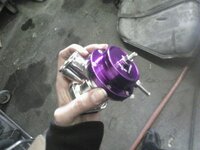 bov.jpg