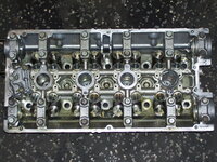 RaceHead1.jpg