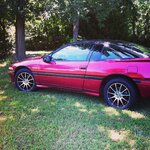 IMG_1134.JPG