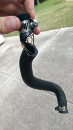 IMAG0216.jpg IMAG0216.jpg