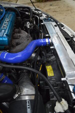 rsz_dsc_0508.jpg rsz_dsc_0508.jpg