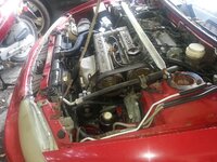 IMG_20151225_131025.jpg