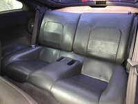 Back Seat View.jpg
